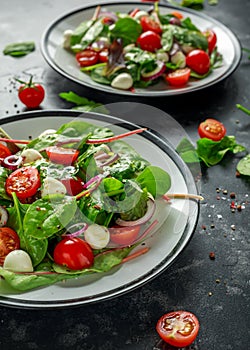 Fresh Cherry Tomato, Mozzarella salad with green lettuce mix and red onion. served on plate. healthy food.