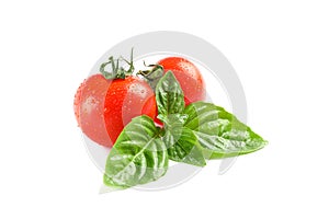 Fresh cherry tomatoes with basil isolated on white background