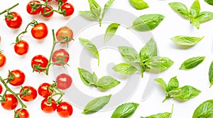 Fresh  cherry tomatoes with basil leaves on white background