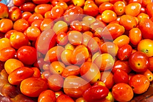 Fresh cherry tomatoes bowl in salad bar
