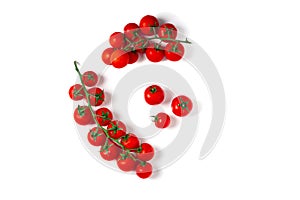 Fresh cherry tomatoes on branch isolated on white background.