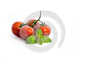 Fresh cherry tomatoes with oregano