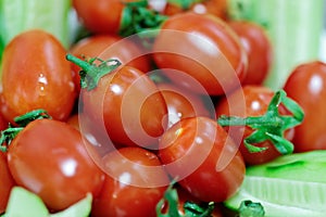 Fresh cherry tomatoes with selected focus