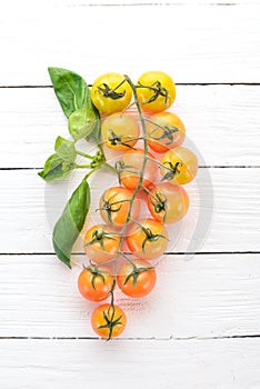 Fresh cherry tomatoes on a twig. Top view.