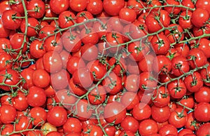 Fresh Cherry Tomatoes Vine Ripe Market Organic Produce