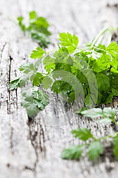 Fresh chervil