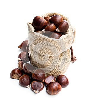 Fresh chestnut in burlap bag isolated on white photo