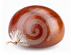 Fresh Chestnut Close Up On White Background