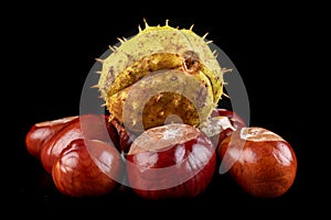 Fresh chestnuts on a dark table. Chestnut fruit from Central Europe