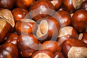 Fresh Chestnuts Macro