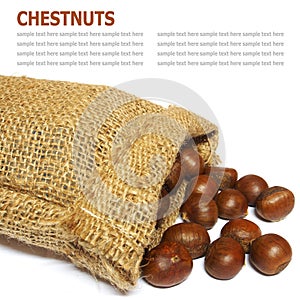 Fresh Chestnuts in yute isolated on white background photo