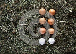 Fresh chicken brown eggs on hay, eco farming background