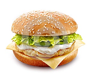 Fresh chicken burger