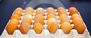 Fresh chicken eggs arranged in cartons