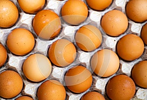 Fresh chicken eggs arranged in cartons