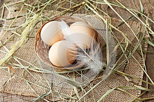 Fresh chicken eggs in basket with feather