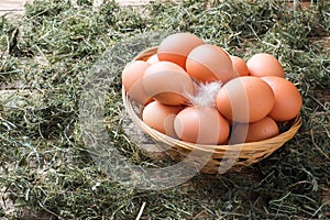 Fresh chicken eggs in a basket on straw on the farm. Rustic style