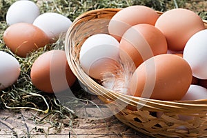 Fresh chicken eggs in a basket on straw on the farm. Rustic style