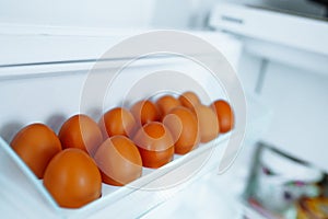 tray brown eggs in refrigerator