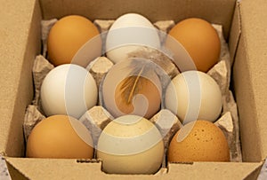 Fresh chicken eggs in colorful cardboard trays on a beautiful background. Raw organic hen eggs with brown shell as protein
