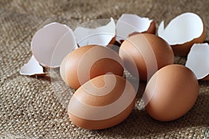 Fresh chicken eggs and cracked egg shell on burlap sack