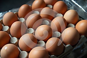 Fresh chicken eggs eggs in paper tray,egg in carton