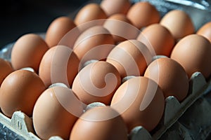 Fresh chicken eggs eggs in paper tray,egg in carton