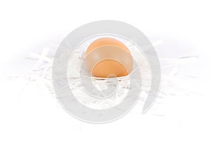 Fresh chicken eggs put on paper cut scrap isolated on white back