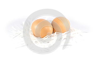 Fresh chicken eggs put on paper cut scrap isolated on white back