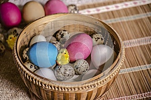 Fresh chicken eggs and quail eggs with painted Easter eggs and a toy yellow chicken in a straw basket