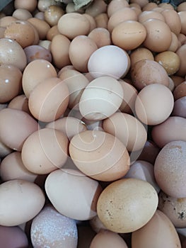 fresh chicken eggs for sale at the market