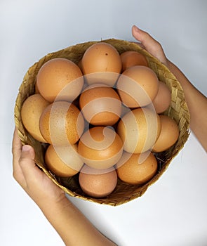 Fresh Chicken Eggs on Wire Basket
