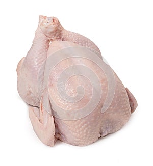 Fresh chicken isolated on a white background. Close up