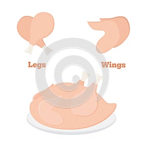 Fresh chicken parts - wings, legs, tasty fast food. Whole meat