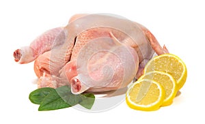 Fresh chicken plucked with lemon on a white background