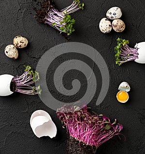 Fresh chicken and quail eggs and watercress on a black textured background sso free space for text