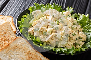 Fresh chicken salad with celery, eggs with mayonnaise dressing closeup on a plate. horizontal