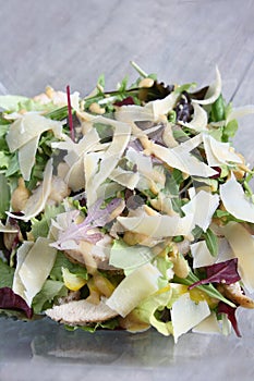 Fresh chicken salad