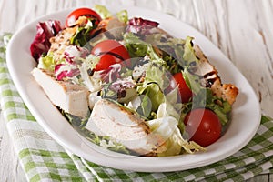 Fresh chicken salad, tomato, chicory, lettuce and arugula with b