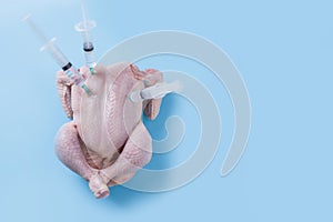 Fresh chicken with stuck syringes for experiments and GMOs on a blue background