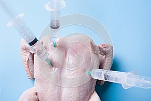 Fresh chicken with stuck syringes for experiments and GMOs on a blue background