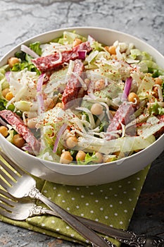 Fresh chickpea salami salad with iceberg and romaine lettuce, mozzarella, onion close-up in a bowl. Vertical photo