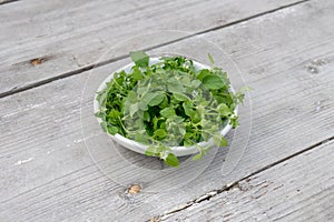 fresh chickweed on a wooden background