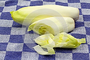 Fresh chicory