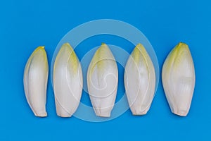 Fresh chicory vegetables