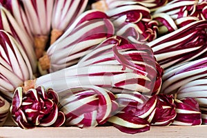 Fresh chicory on the market
