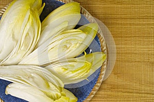 Fresh Chicory Salad leaves placed on a blue plate