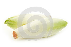 Fresh chicory