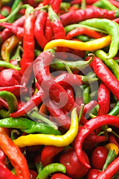 Fresh chilies photo