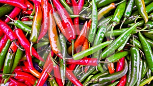 Fresh Chilli. Closeup